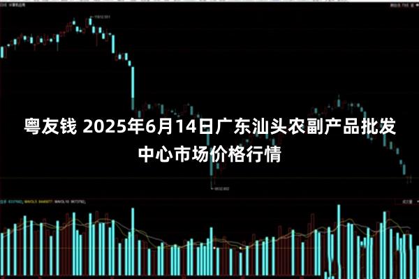 粤友钱 2025年6月14日广东汕头农副产品批发中心市场价格行情