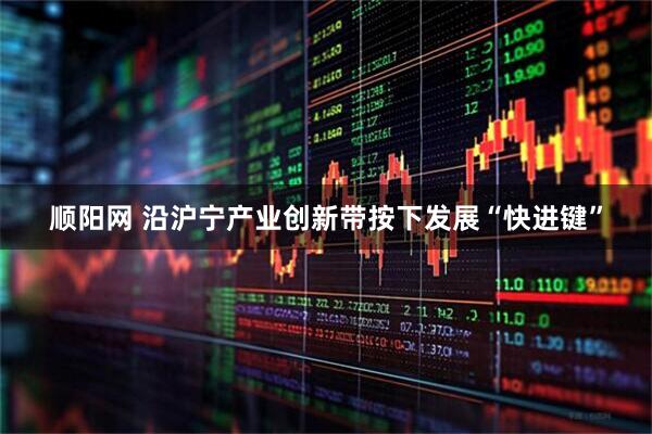 顺阳网 沿沪宁产业创新带按下发展“快进键”