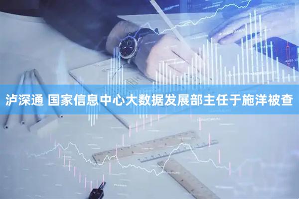 泸深通 国家信息中心大数据发展部主任于施洋被查