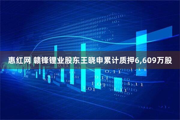 惠红网 赣锋锂业股东王晓申累计质押6,609万股