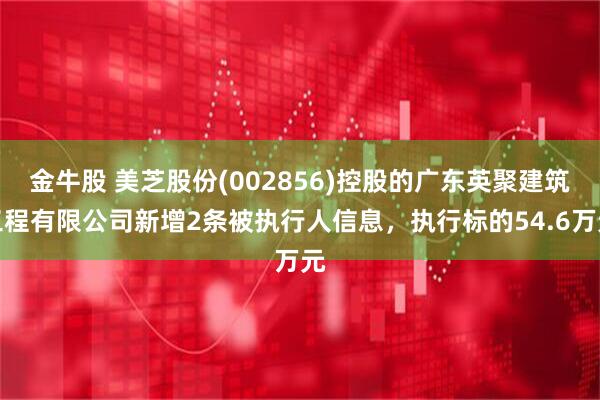 金牛股 美芝股份(002856)控股的广东英聚建筑工程有限公司新增2条被执行人信息，执行标的54.6万元